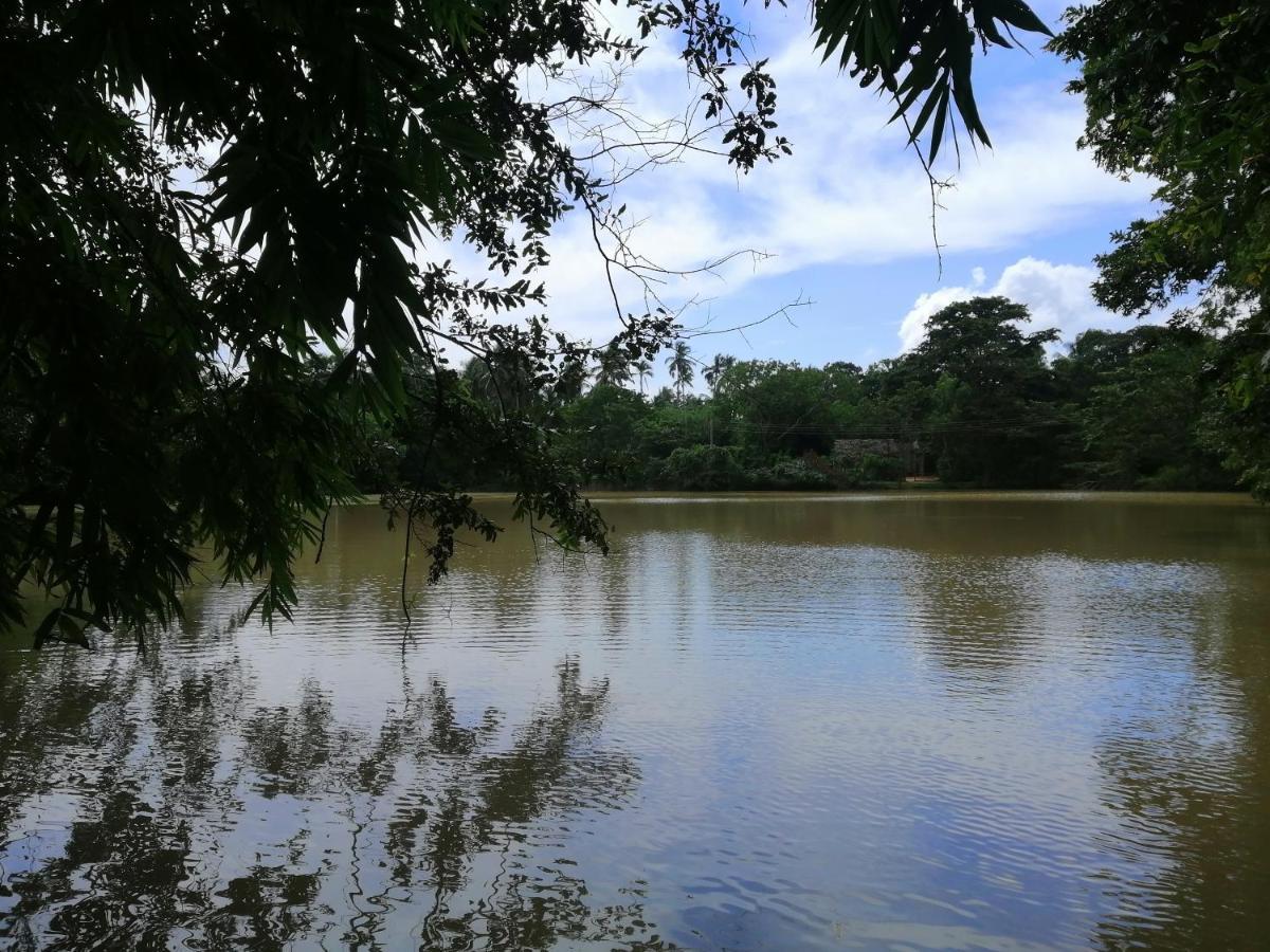 Heaven in Satinwoods Hotel Tangalle Buitenkant foto