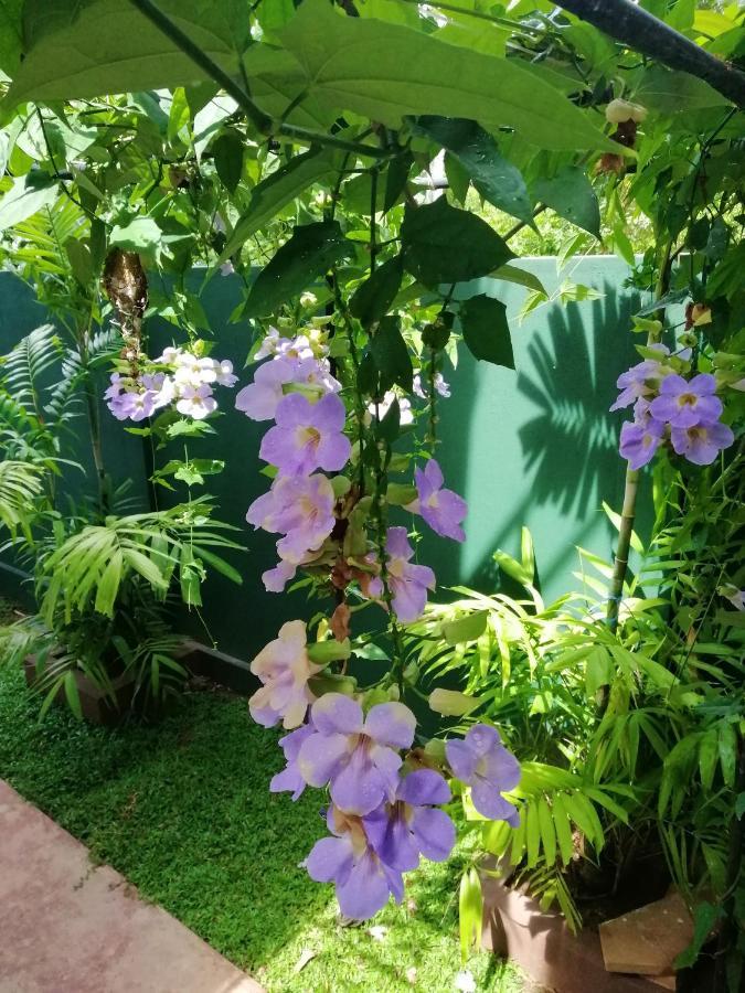 Heaven in Satinwoods Hotel Tangalle Buitenkant foto