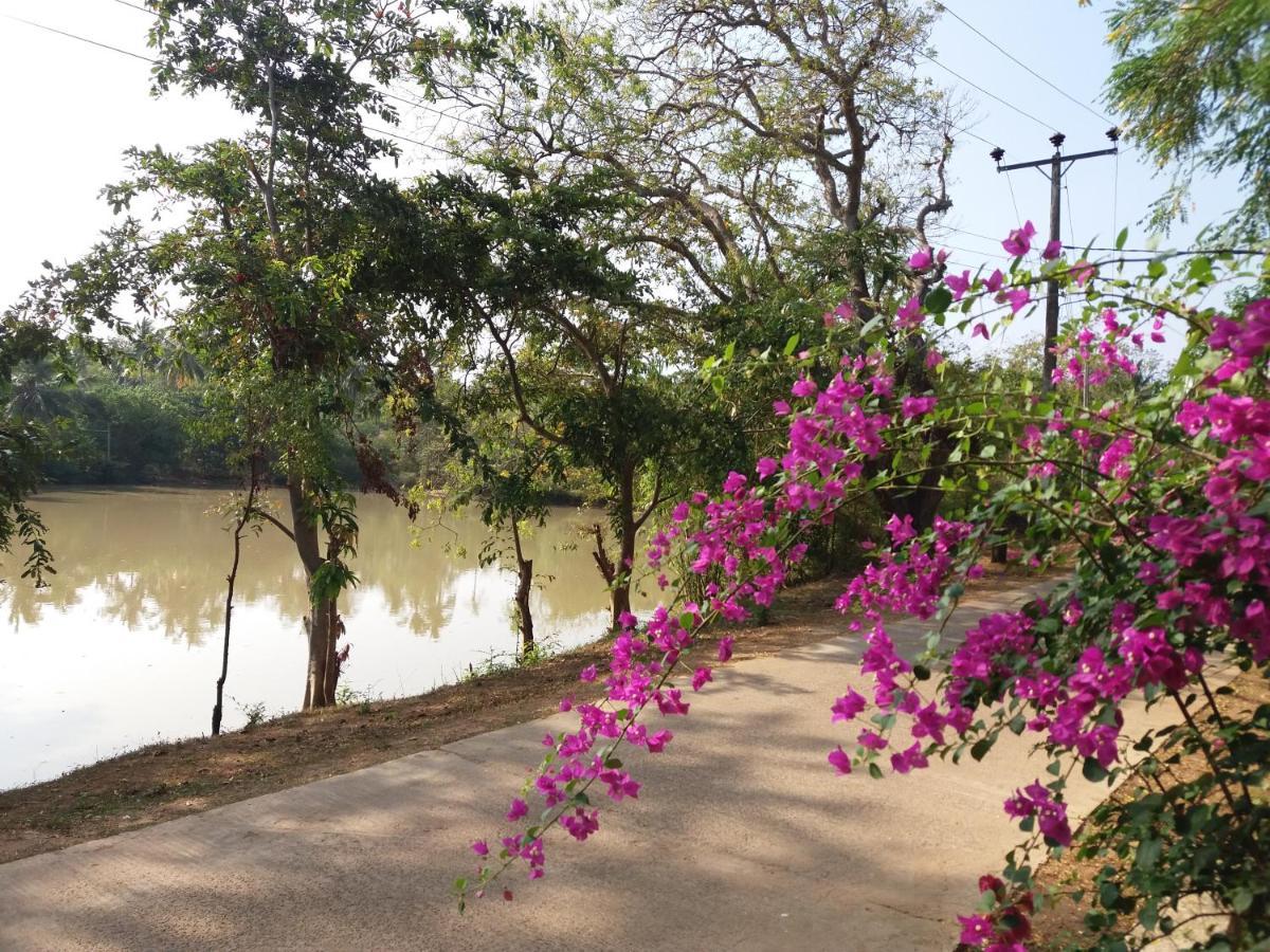 Heaven in Satinwoods Hotel Tangalle Buitenkant foto
